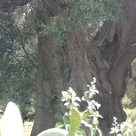 Masseria Semerano
