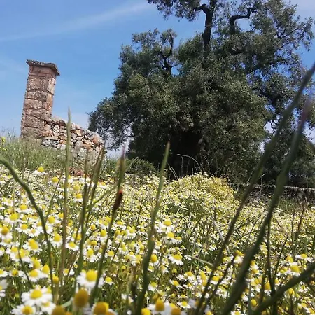 Masseria Semerano Ferienhaus *