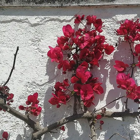 Masseria Semerano Ferienhaus