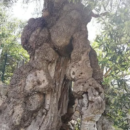 Masseria Semerano * Ostuni