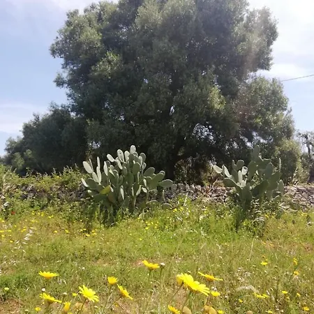 Ferienhaus Masseria Semerano *
