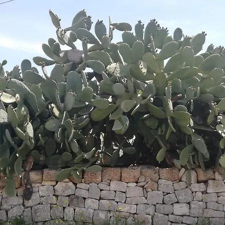 Masseria Semerano Ferienhaus